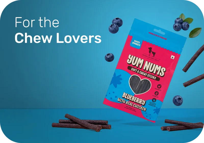 Soft Chews
