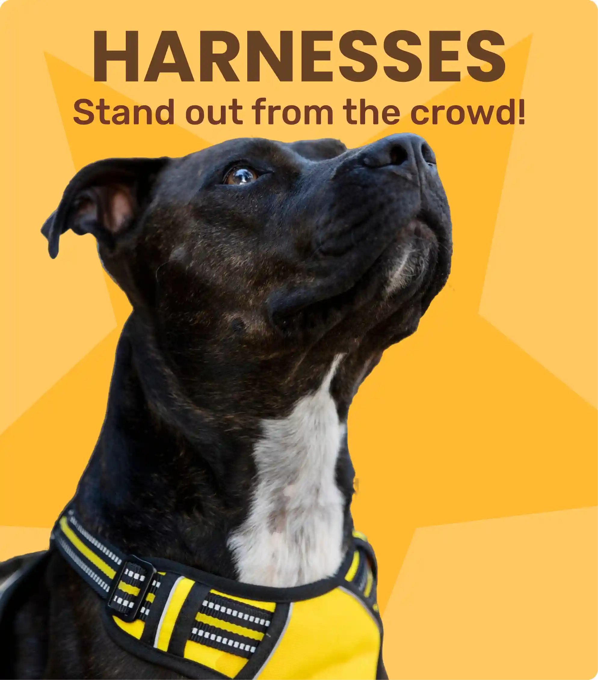 Harnesses