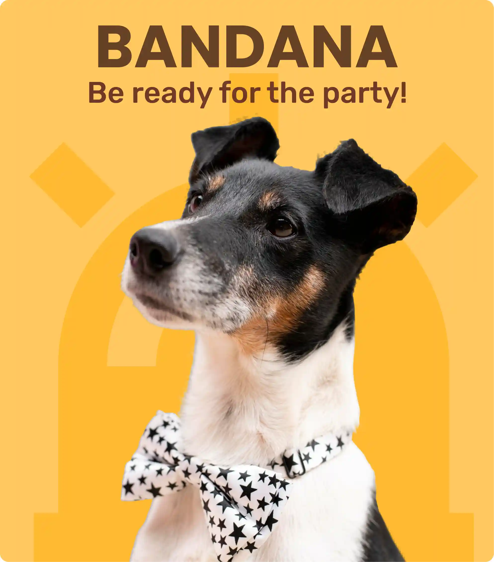 Dog Bandana